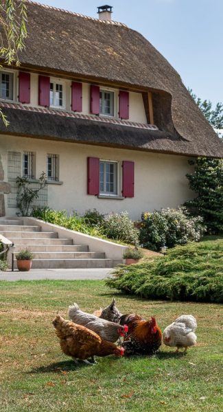 La-Cle-Des_Chaumes_maison_d-_hotes